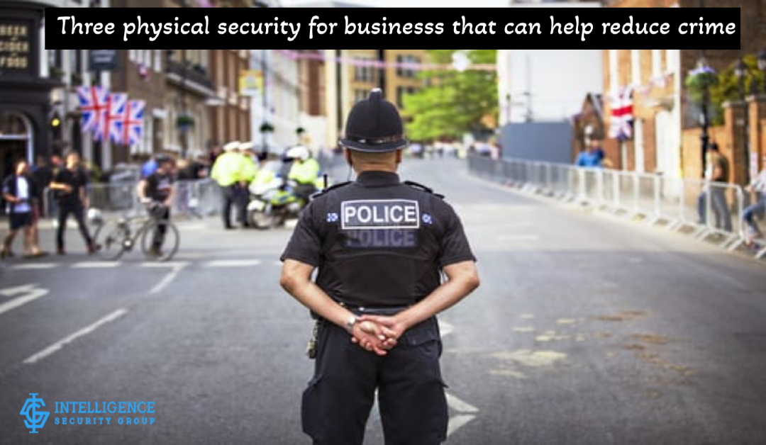 Three physical security for business’s that can help reduce crime?