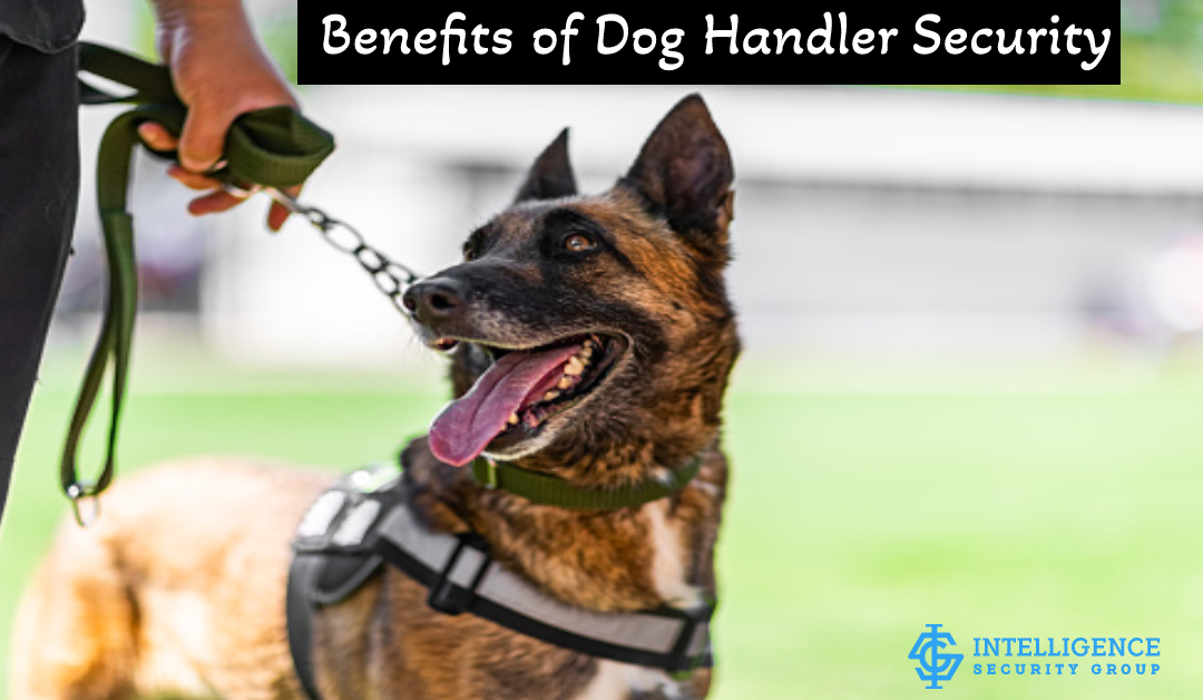 Benefits of Dog Handler Security